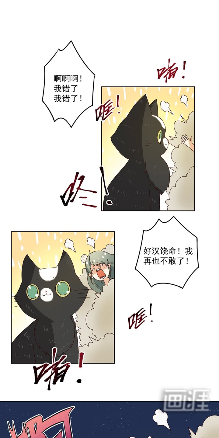 第78章：白月光