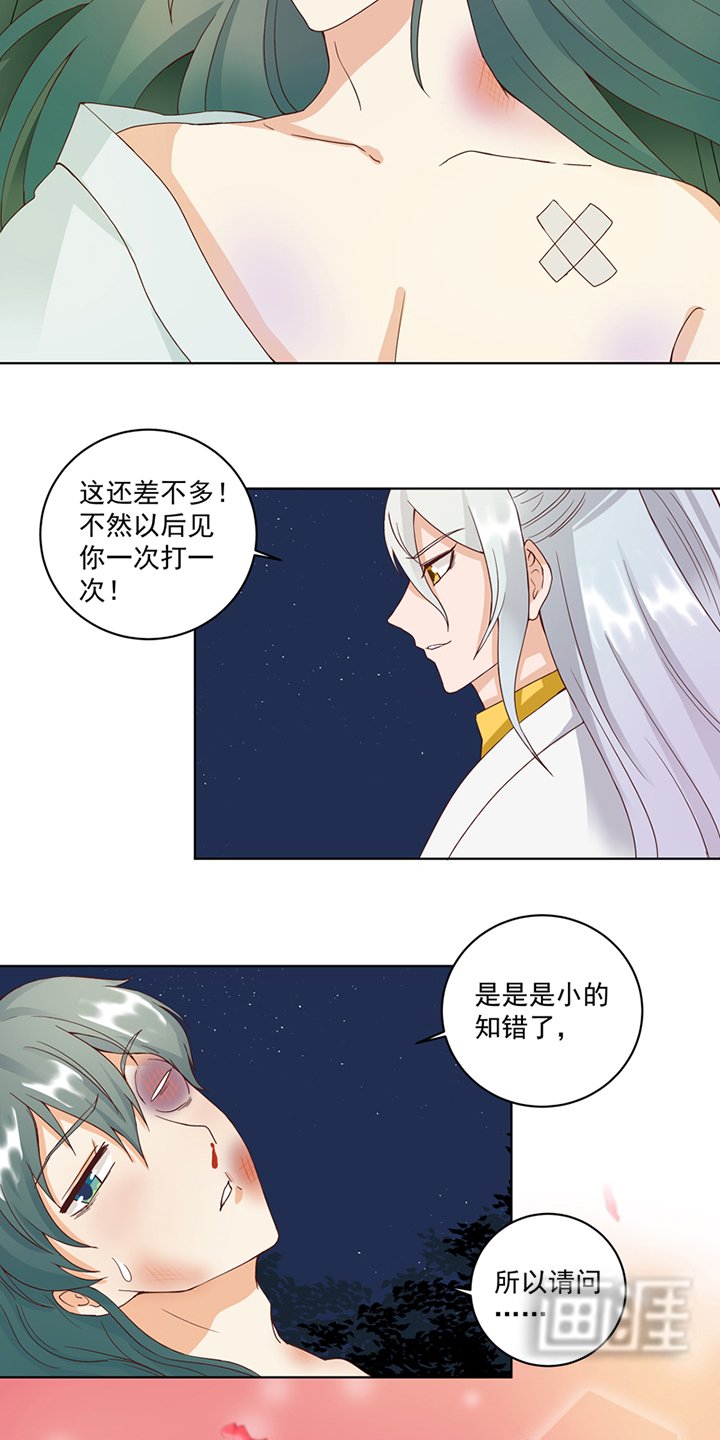 第78章：白月光