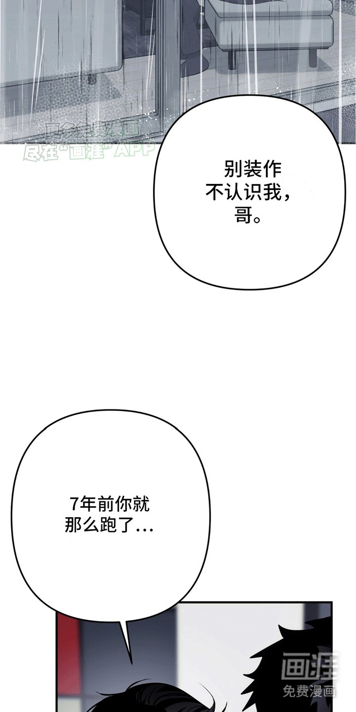 第13章：真相