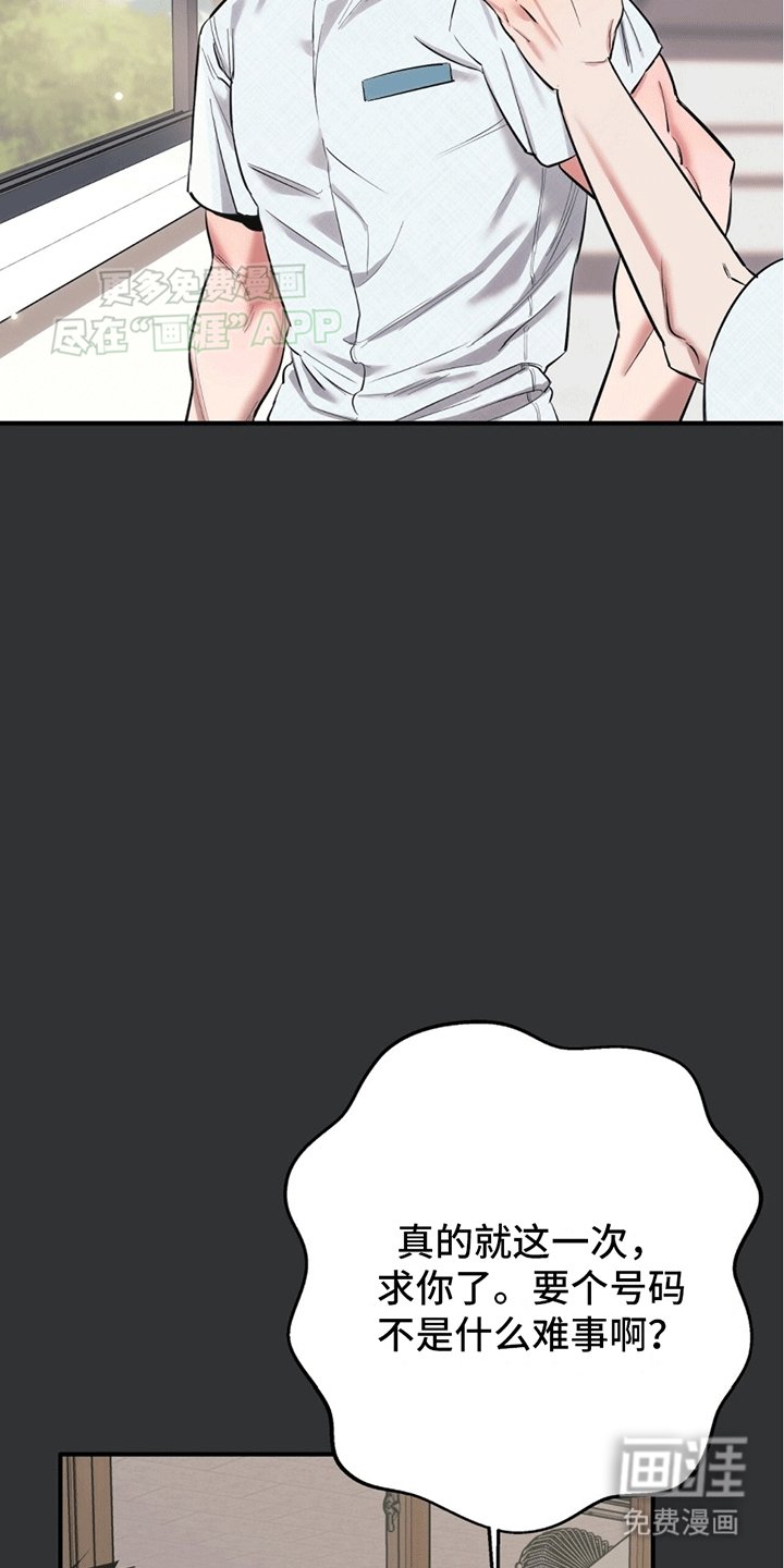 第2章：一见钟情
