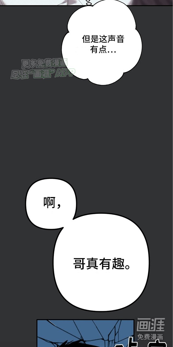 第3章：安能辨我是雄雌