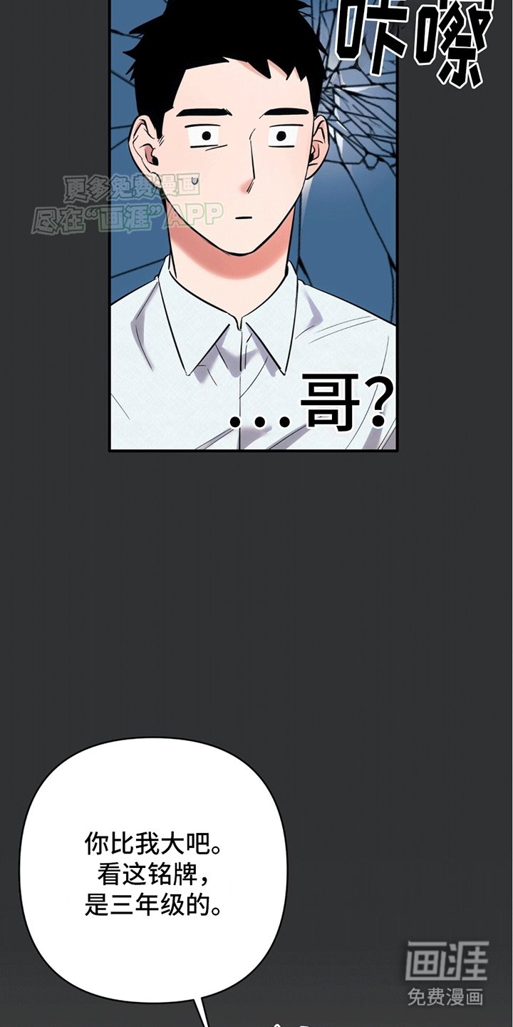 第3章：安能辨我是雄雌