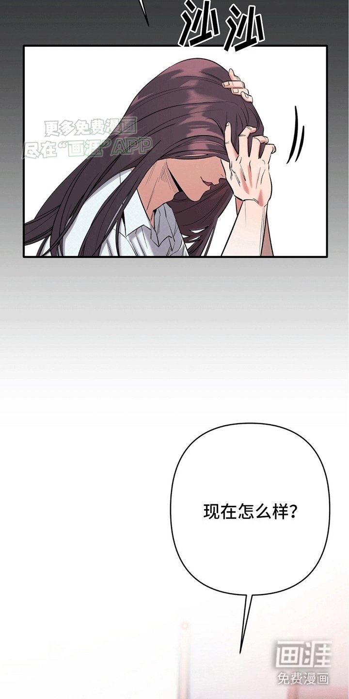 第3章：安能辨我是雄雌