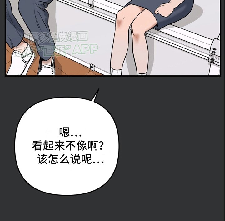 第3章：安能辨我是雄雌