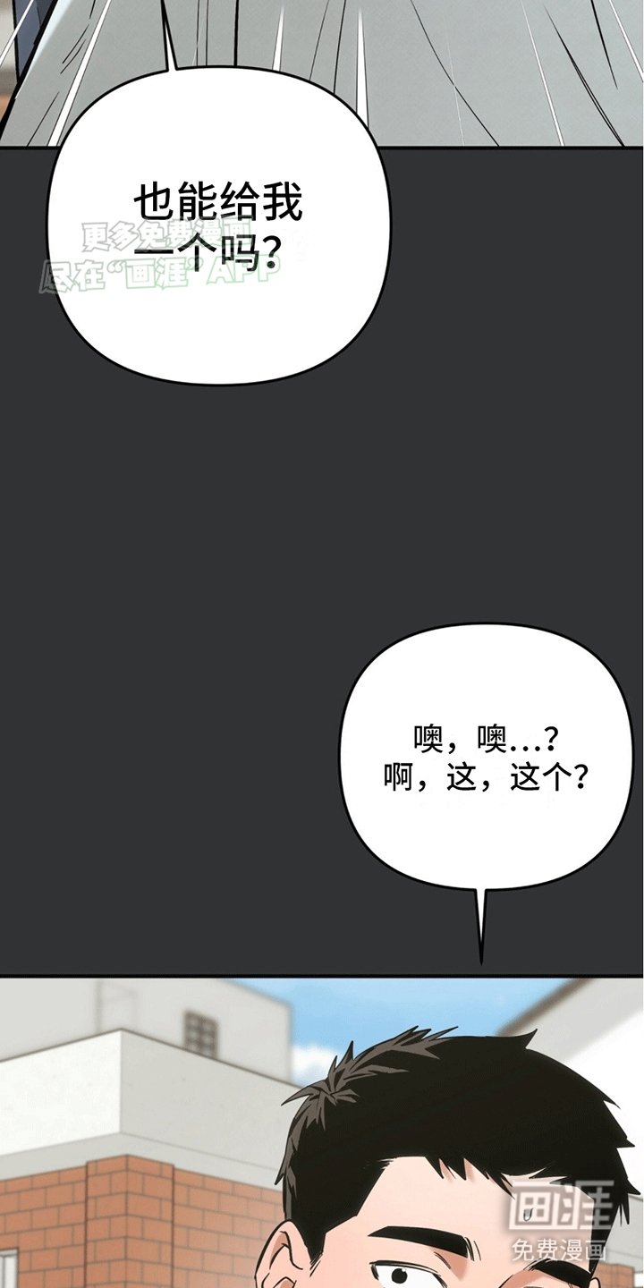 第3章：安能辨我是雄雌