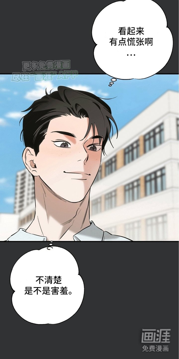 第3章：安能辨我是雄雌