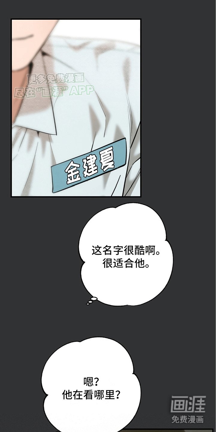 第3章：安能辨我是雄雌
