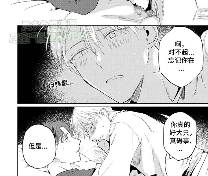 第6章：进一步