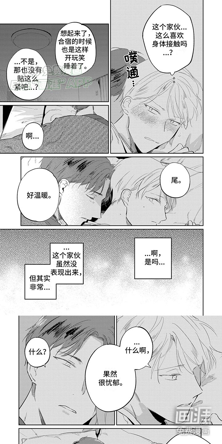 第6章：进一步