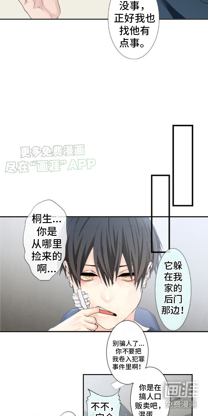 第13章：爽约