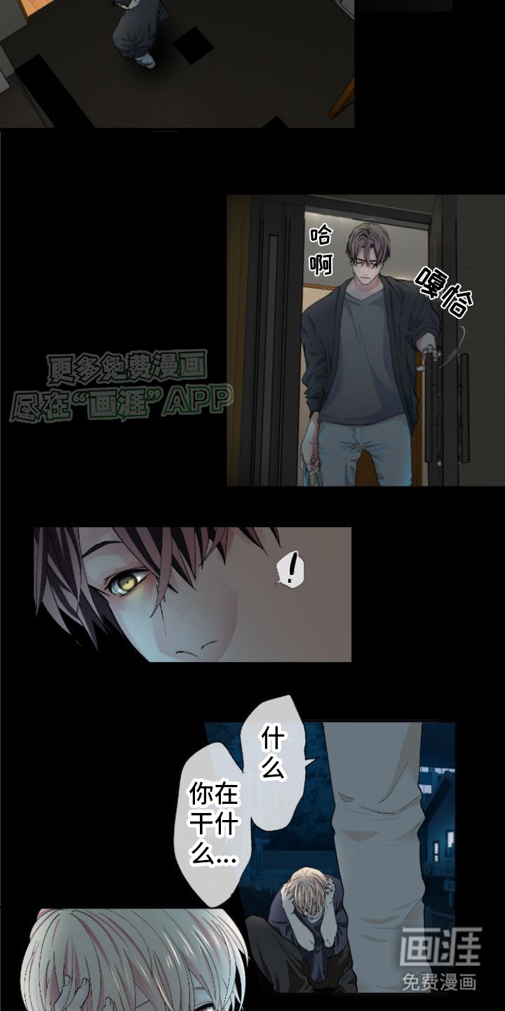 第6章：老老实实