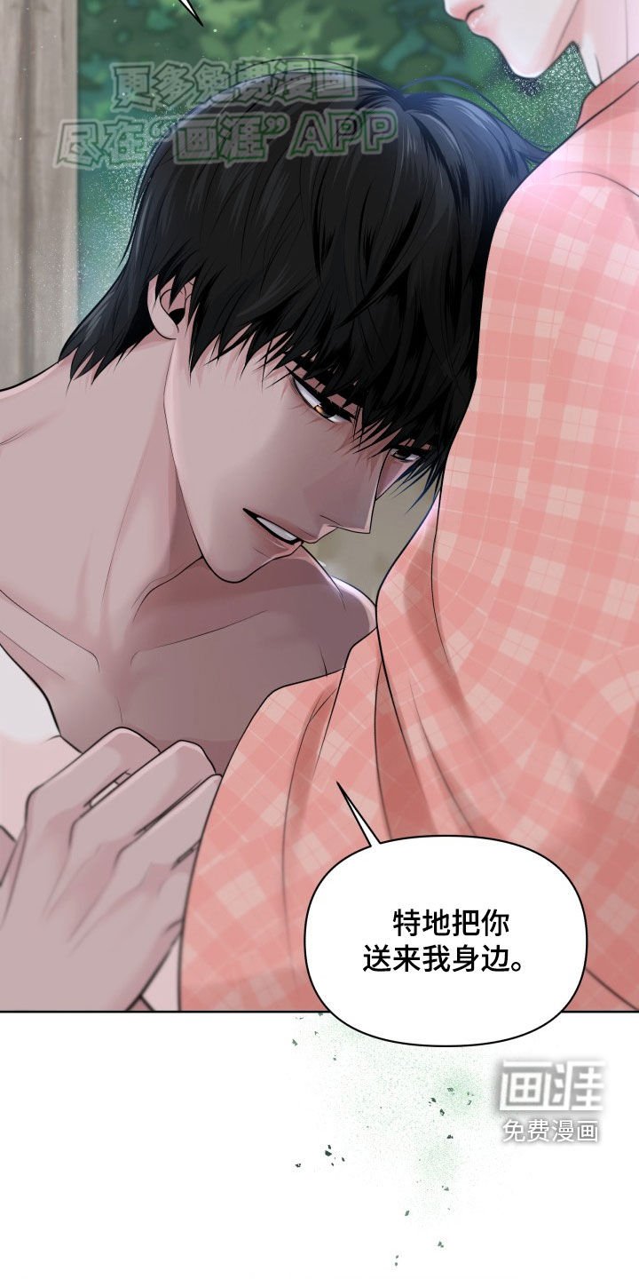 第22章：就这么定了