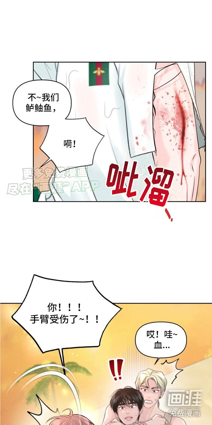 第6章：受伤