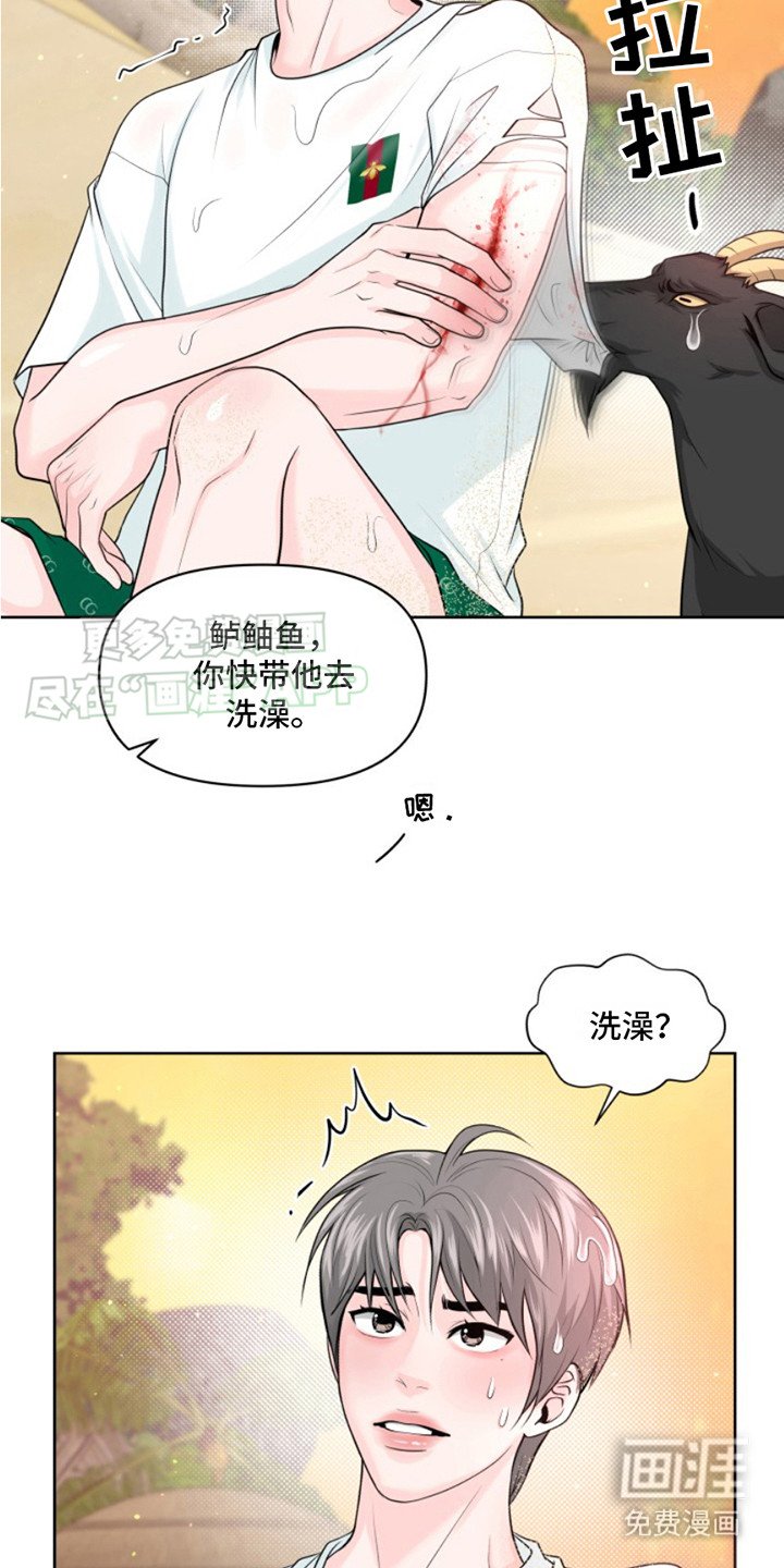 第6章：受伤