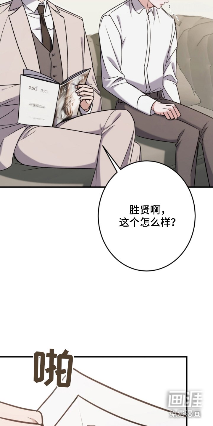 第17章：实物