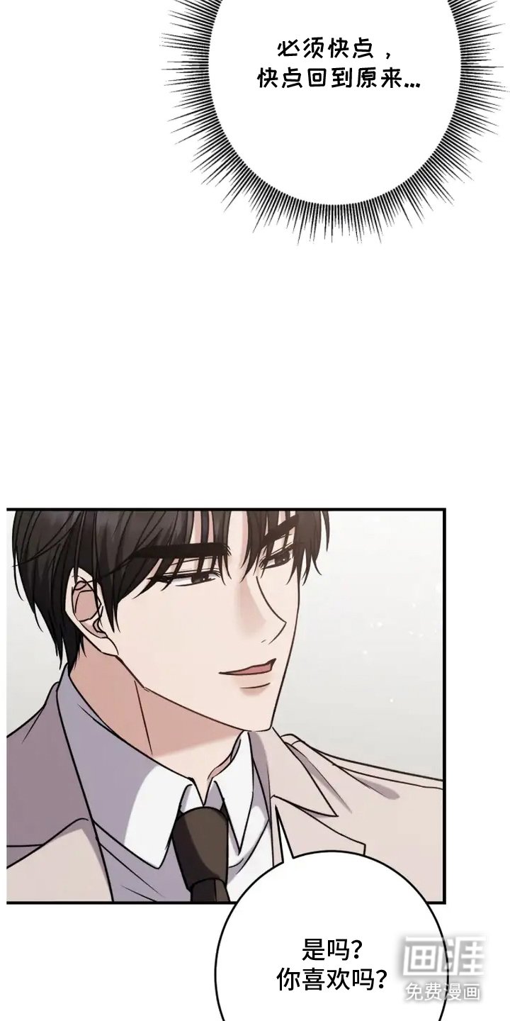 第17章：实物