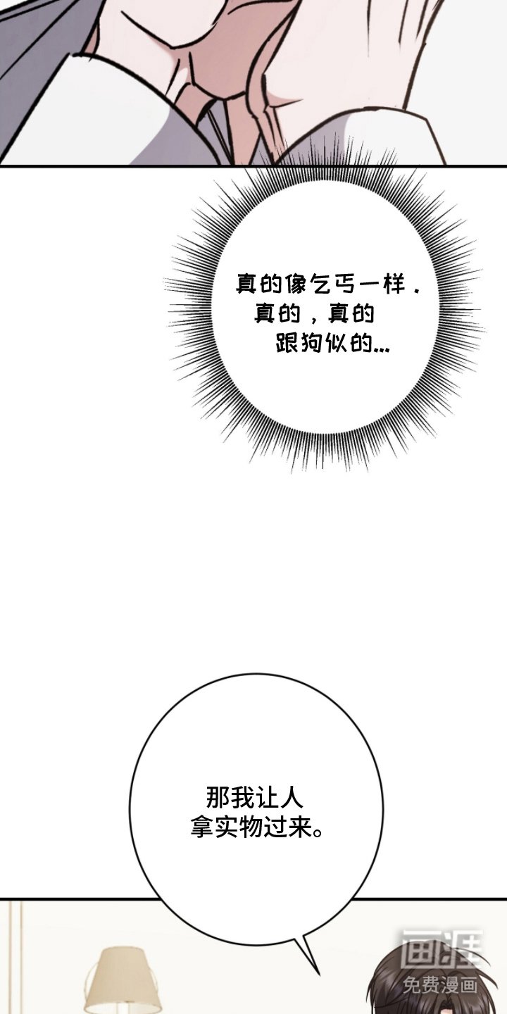 第17章：实物