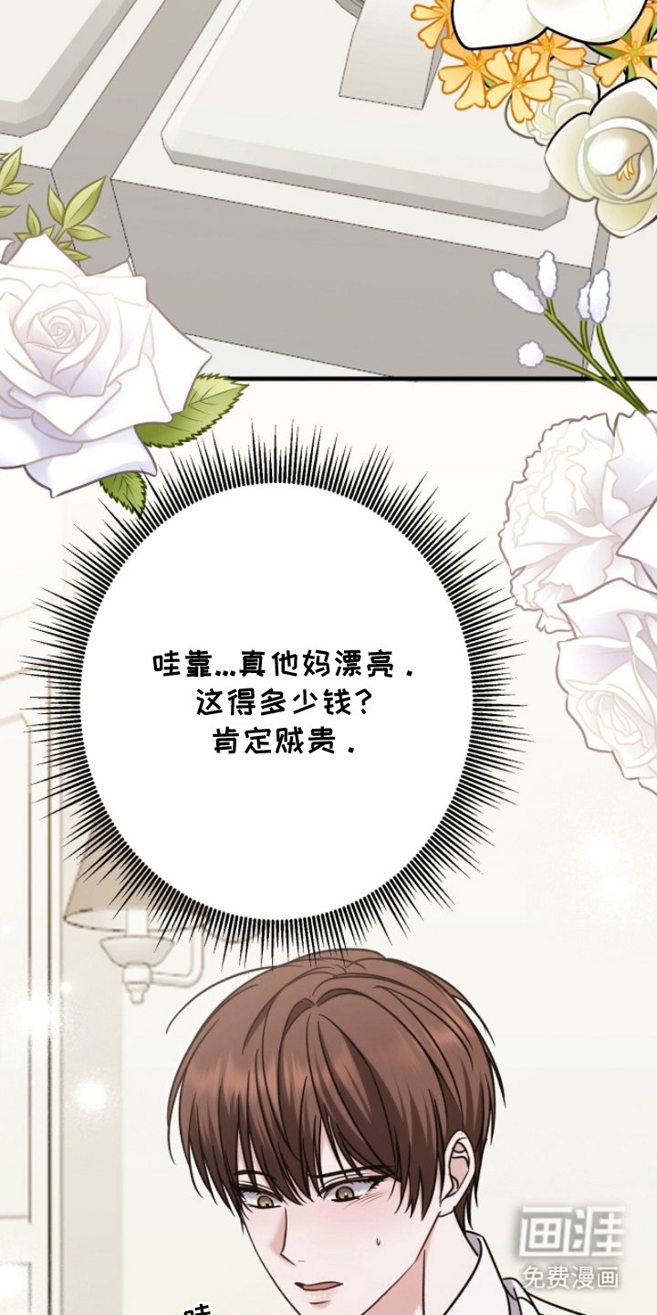 第17章：实物