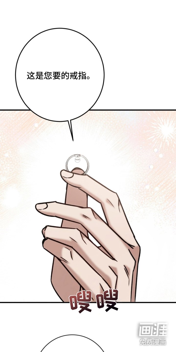第17章：实物