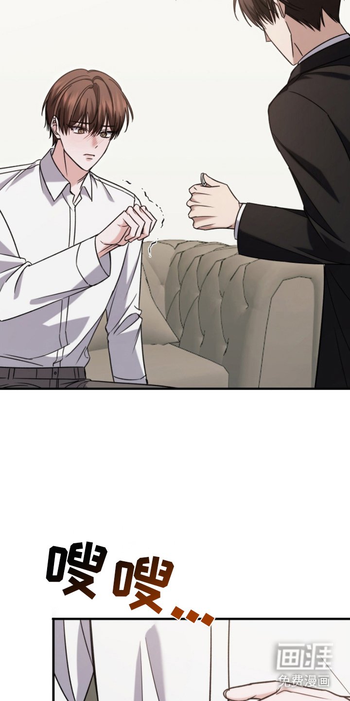 第17章：实物