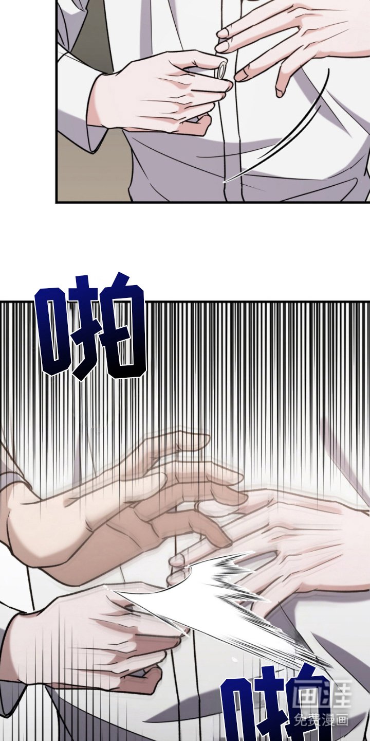 第17章：实物