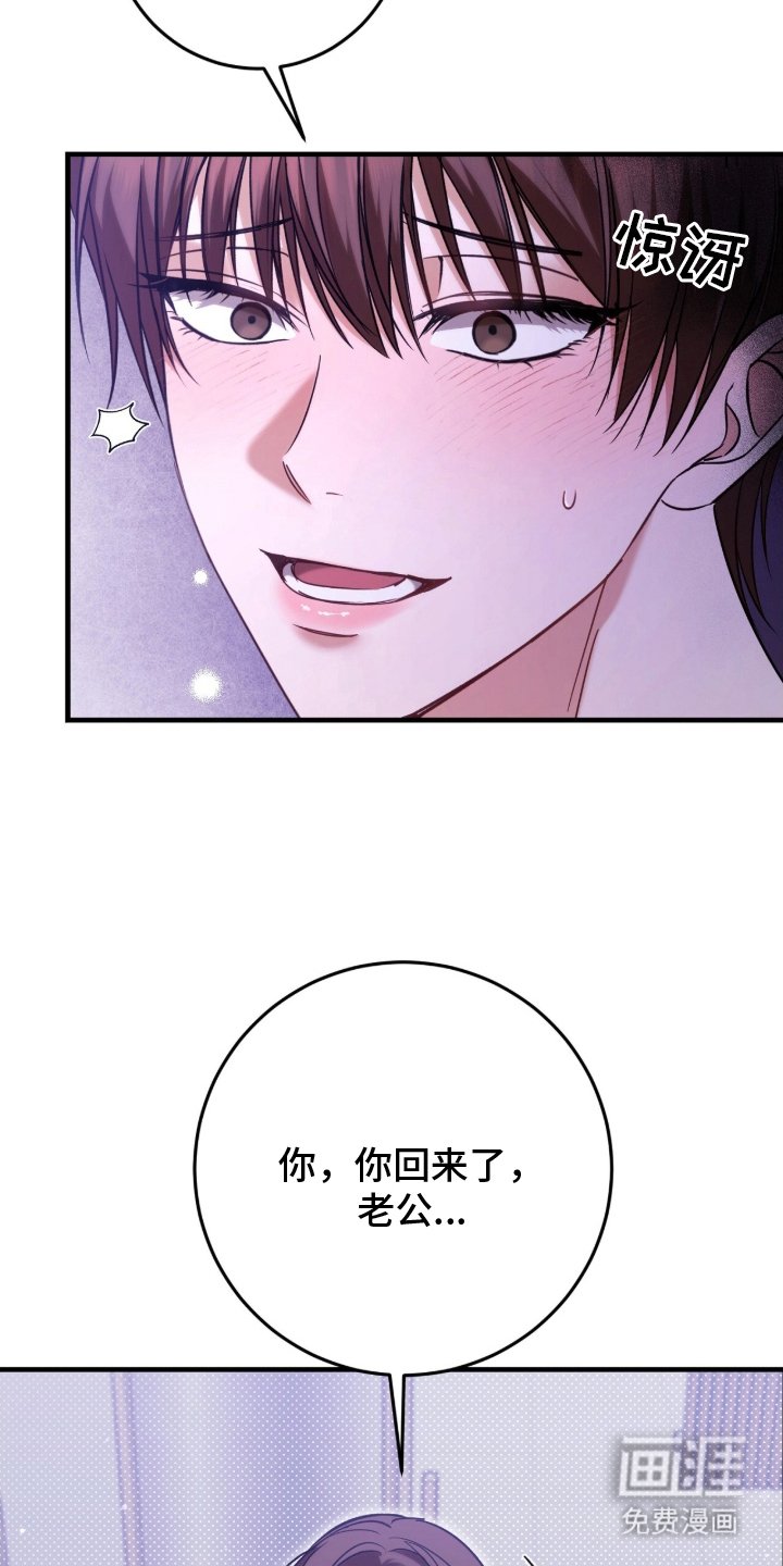 第2章：欢迎老公回来