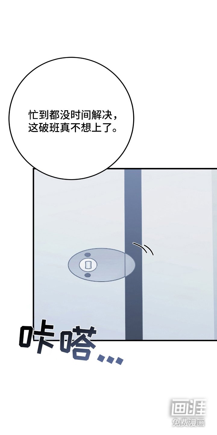第6章：手机里的秘密