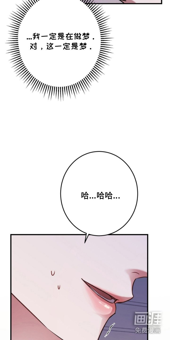 第9章：不是真的