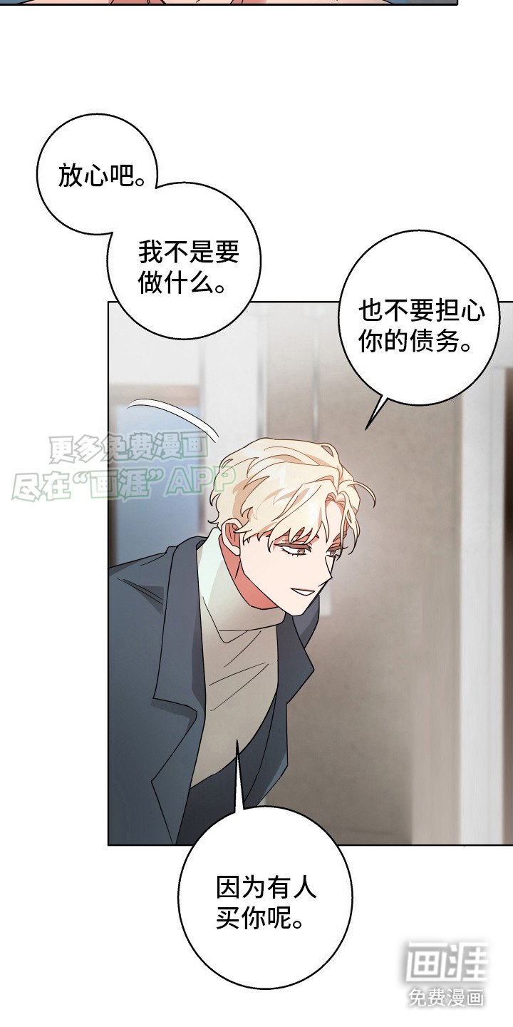 第2章：把你买下