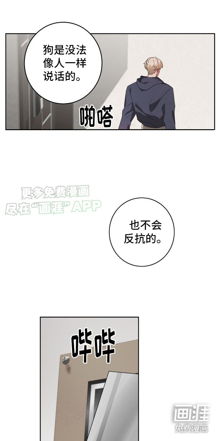 第7章：狗叫