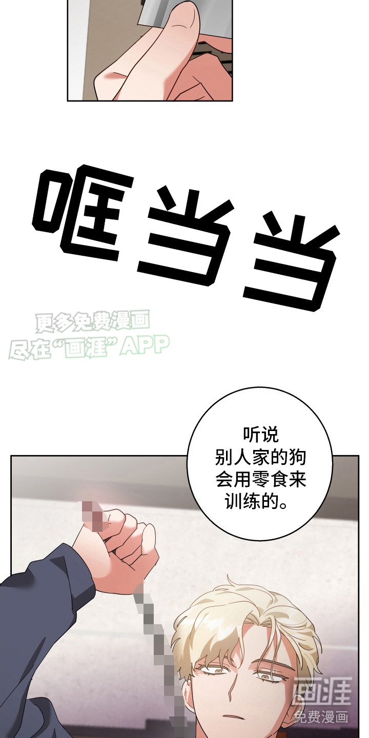 第7章：狗叫