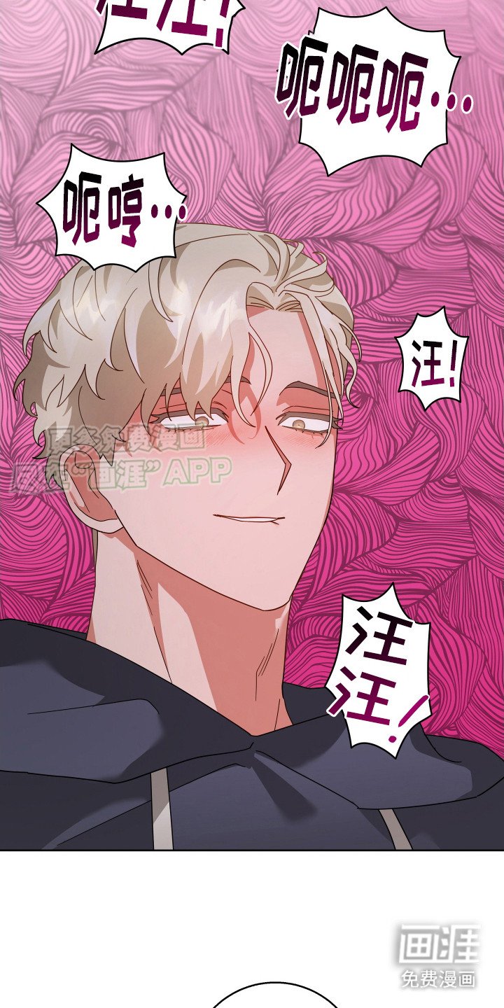 第7章：狗叫