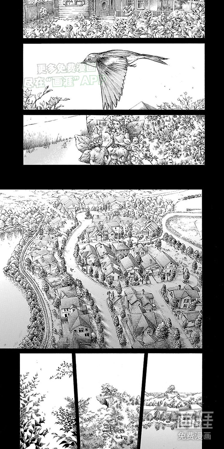 第1章：收养