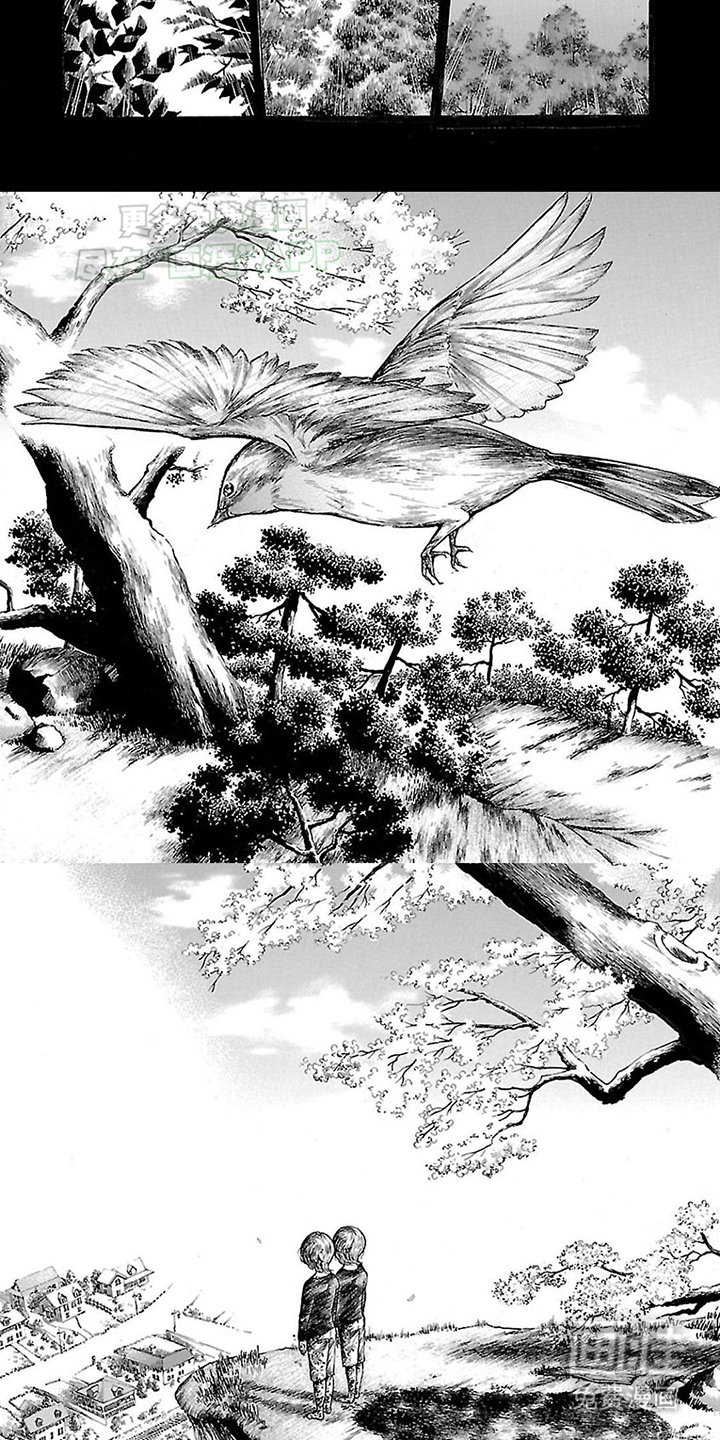 第1章：收养