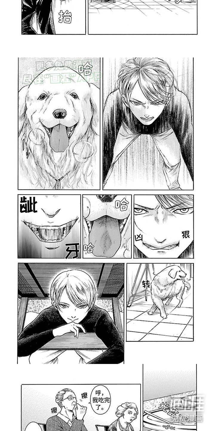 第3章：神奇操作