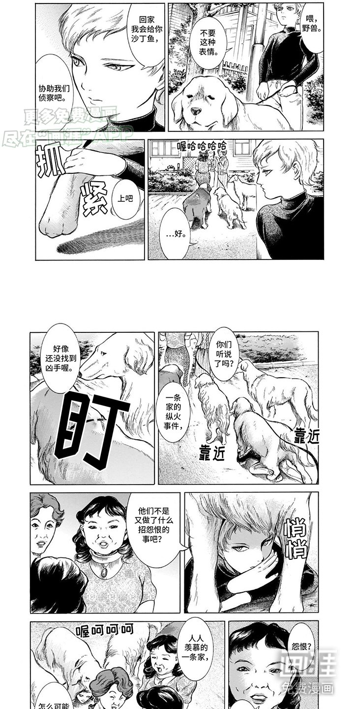 第39章：打听消息