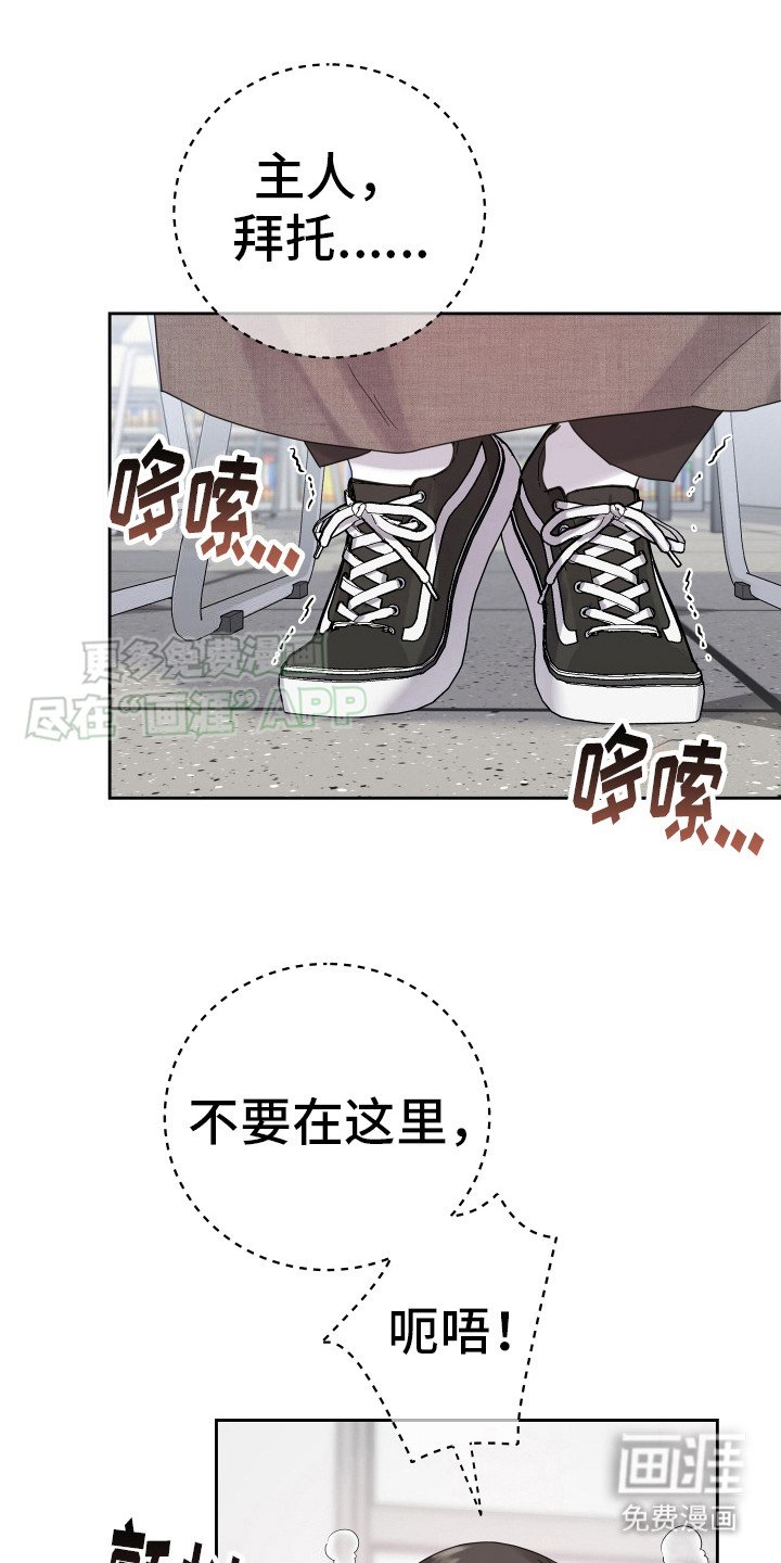 第12章：什么都行（完结）