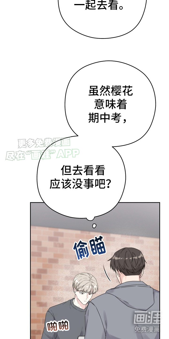 第6章：认真一点