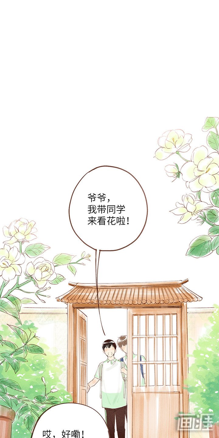 第10章：夕日的告白不过一场梦