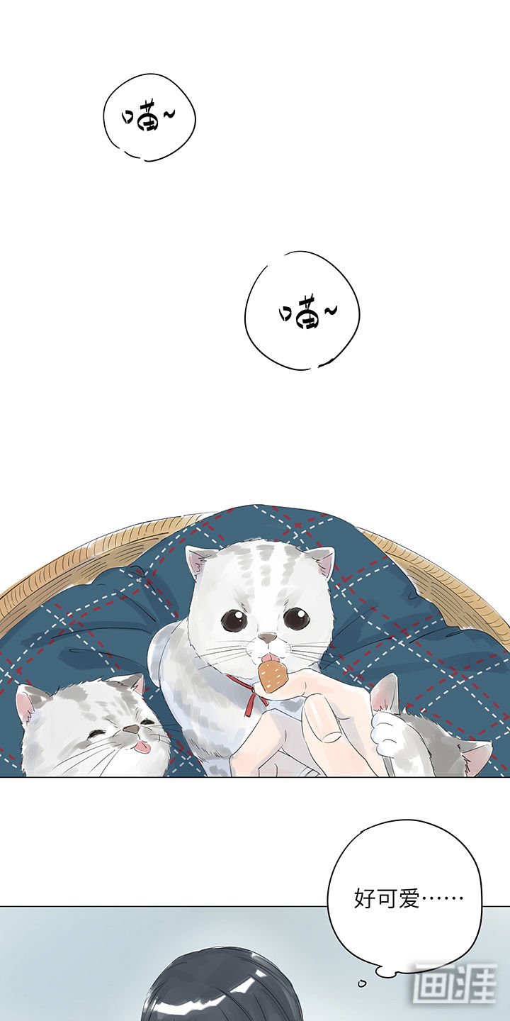 第16章：宽容来自于愧疚吧