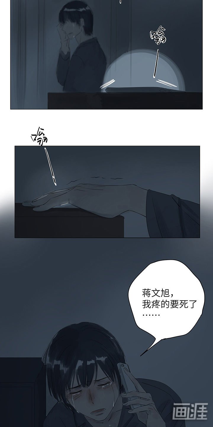 第20章： 身体的痛怎能比过心痛