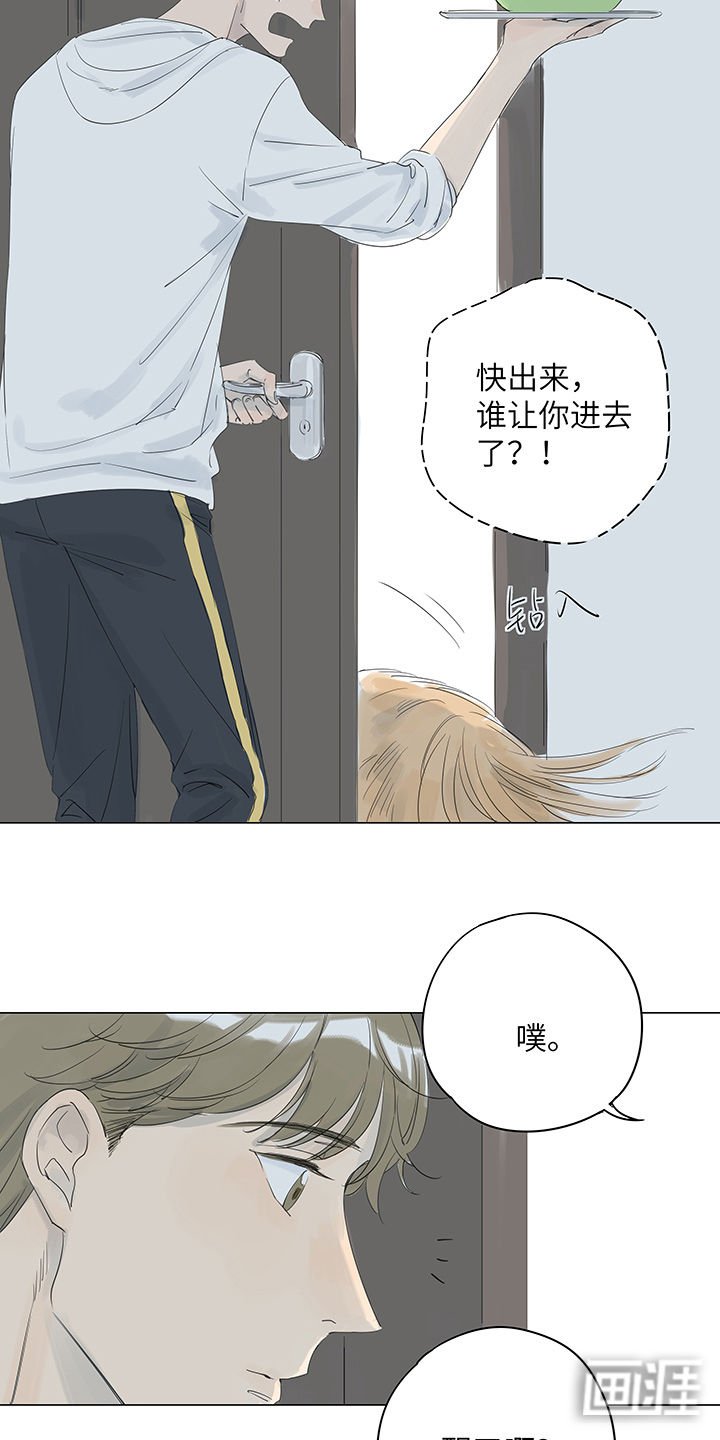第21章：梦一般的安心和宁静