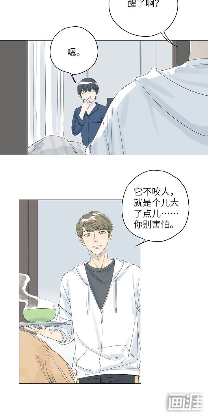 第21章：梦一般的安心和宁静