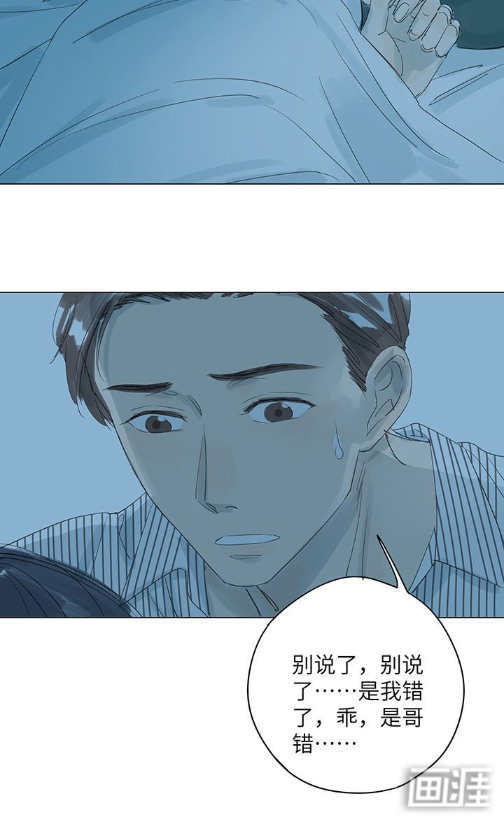 第29章：如果有如果