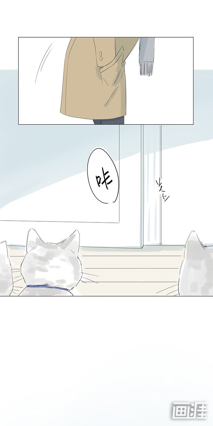 第34章：诀别
