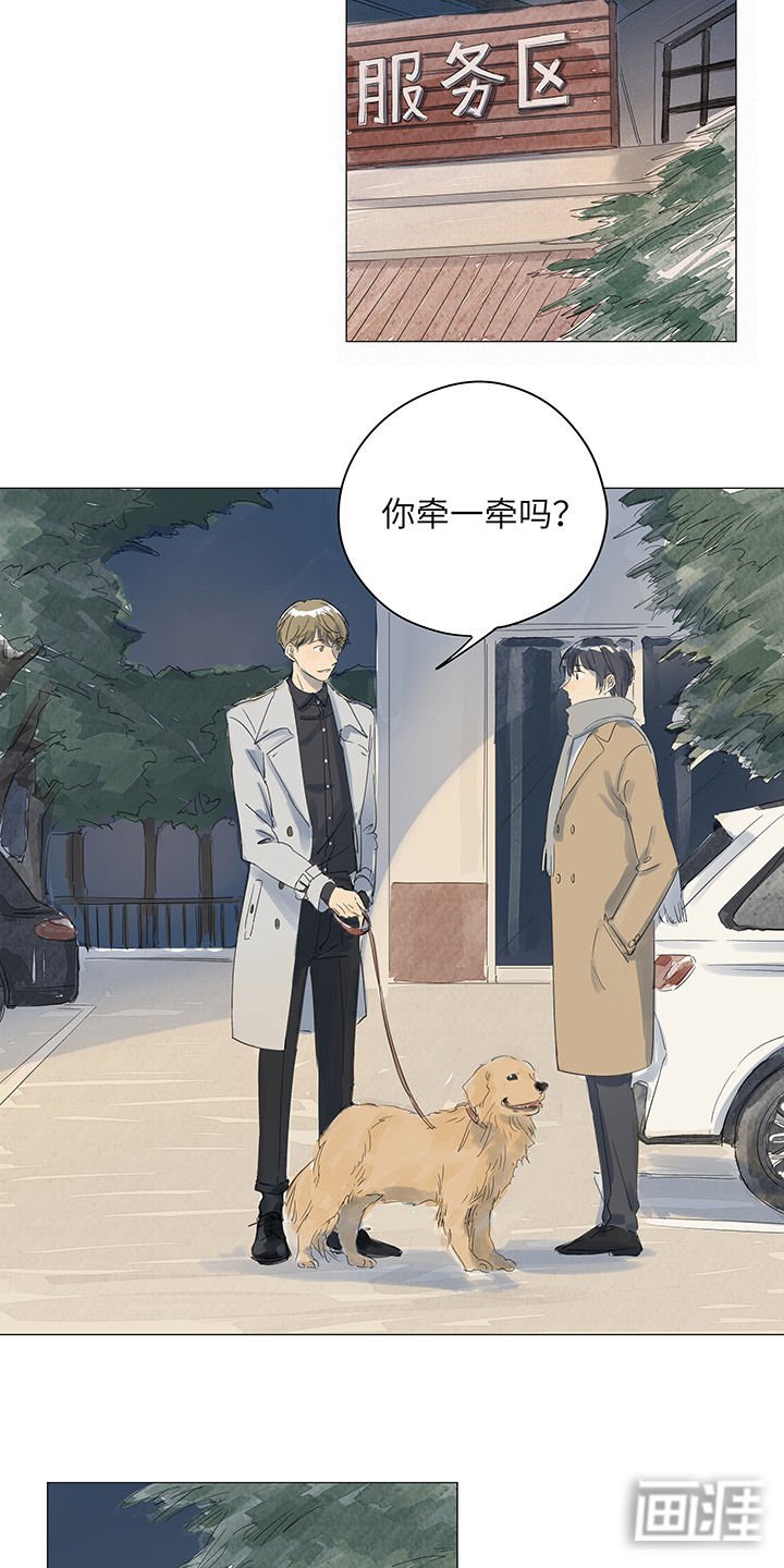 第37章：烟花盛开
