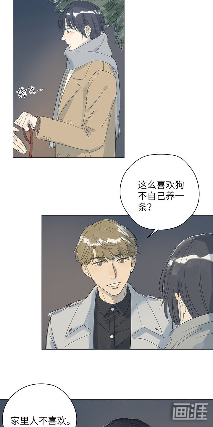 第37章：烟花盛开