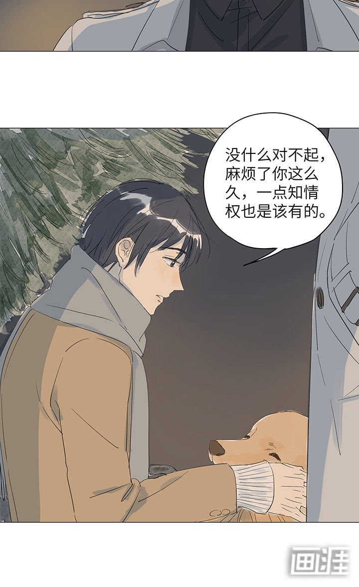 第37章：烟花盛开