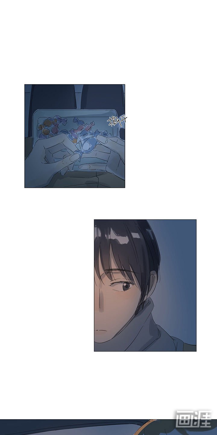 第37章：烟花盛开