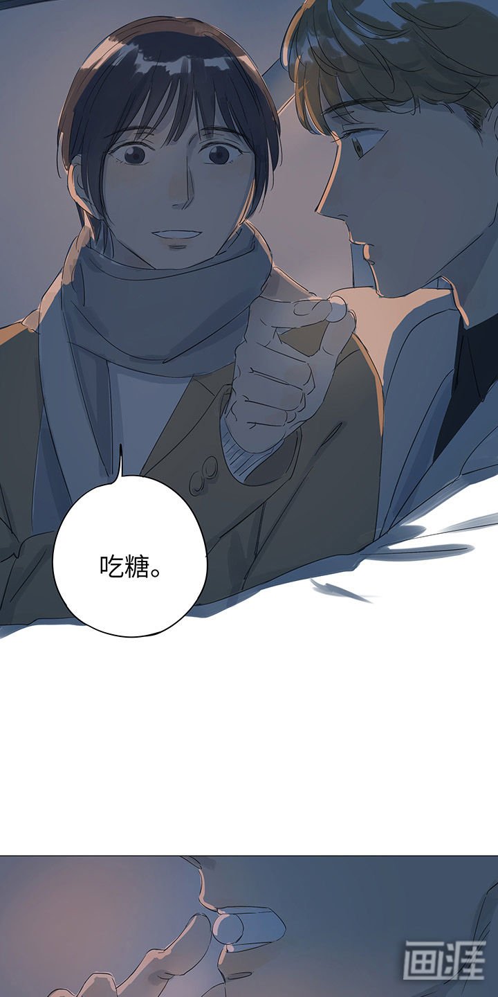 第37章：烟花盛开